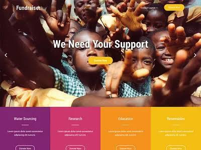Non-Profit & NGO Impact Website Package (2026 Standard)